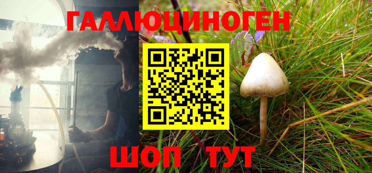 Бошки Шишки Кизляр