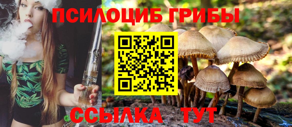 Псилоцибиновые грибы мухоморы Кизляр