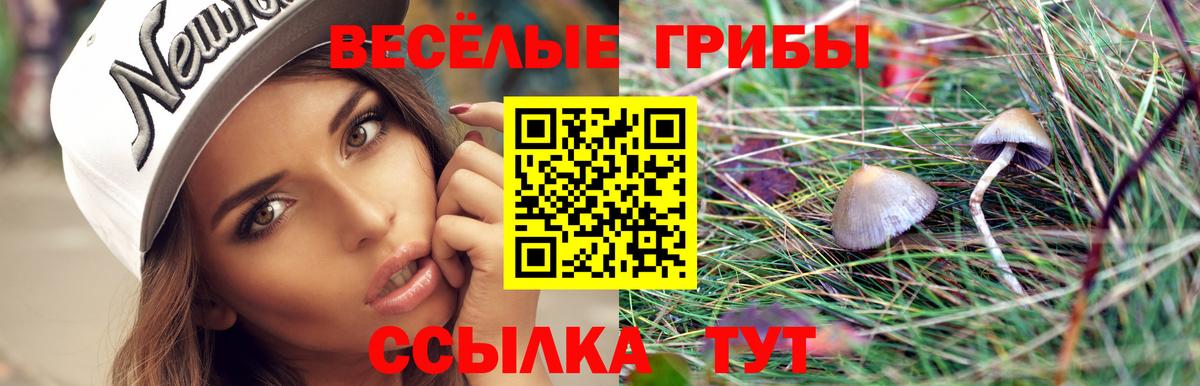 Псилоцибиновые грибы Cubensis  Вход с VPN  Кизляр  Псилоцибиновые грибы MAGIC MUSHROOMS 